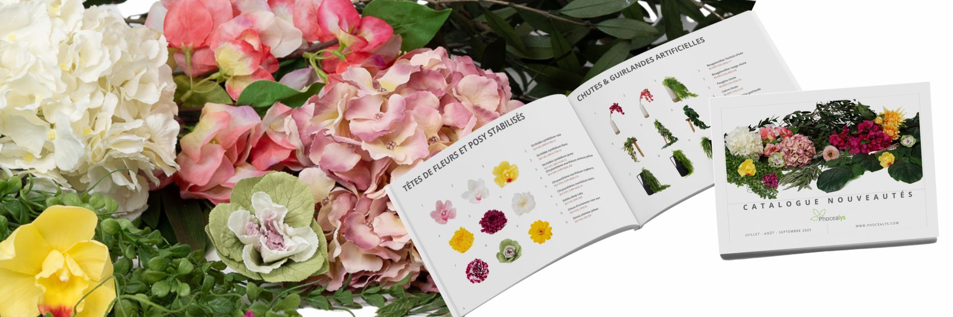 Catalogue nouveautés Phocealys